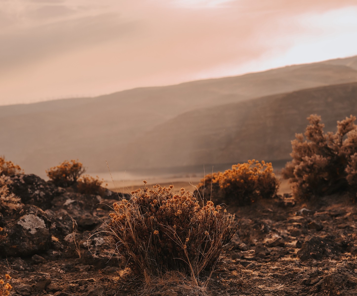 Why I'd Choose Moses Lake Over Any Big City, Every Single Time