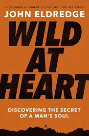 Wild at Heart book cover